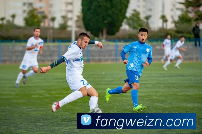 App Interface Preview