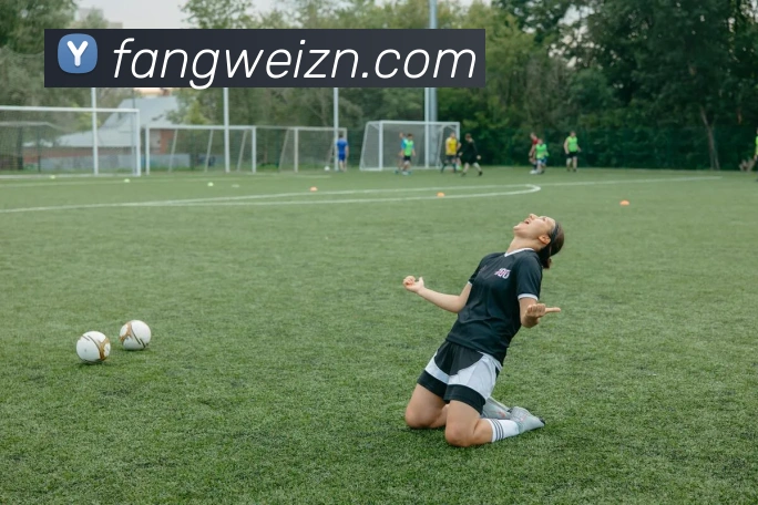 6686体育APP 封面图